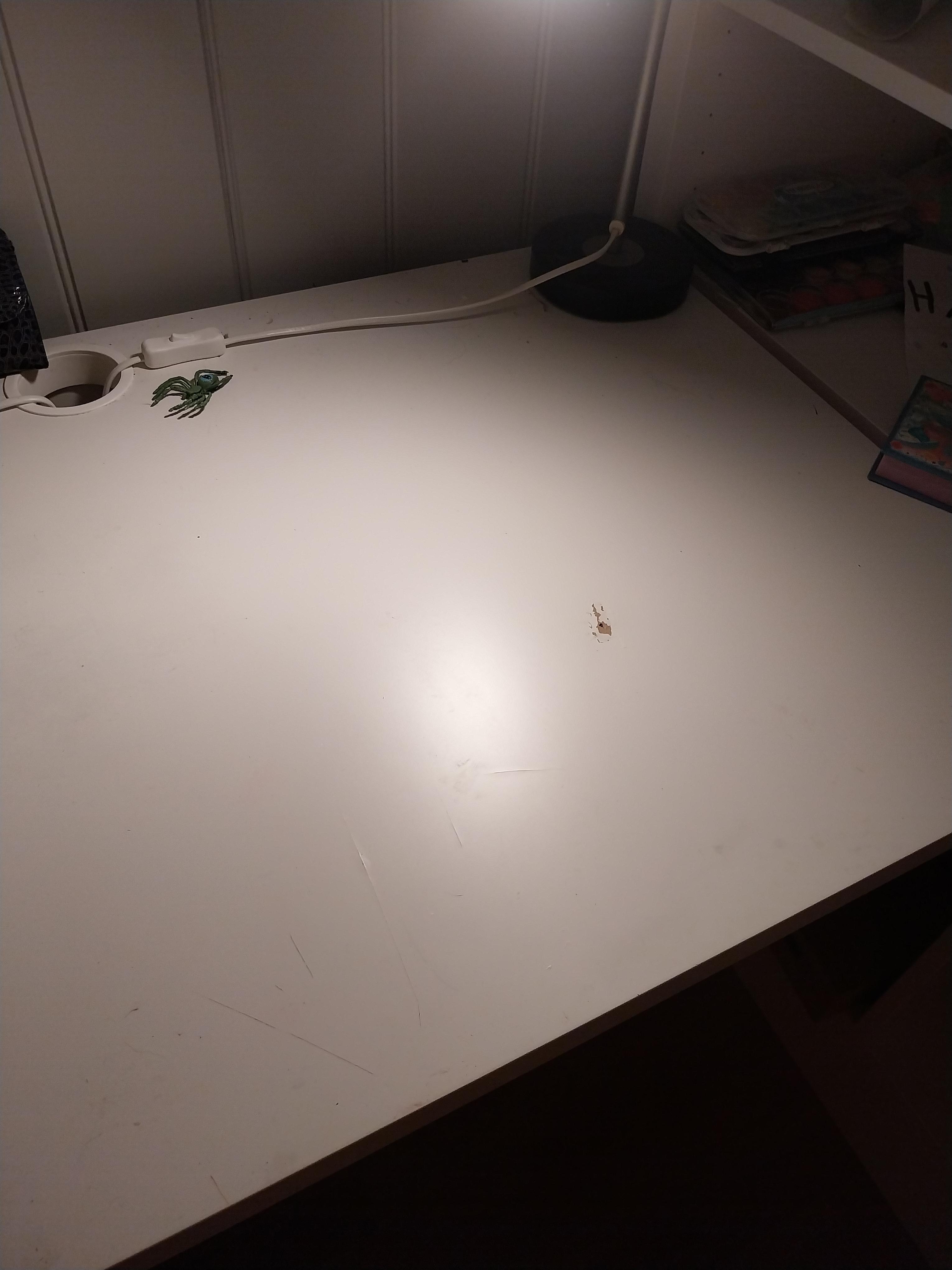 Seller photo