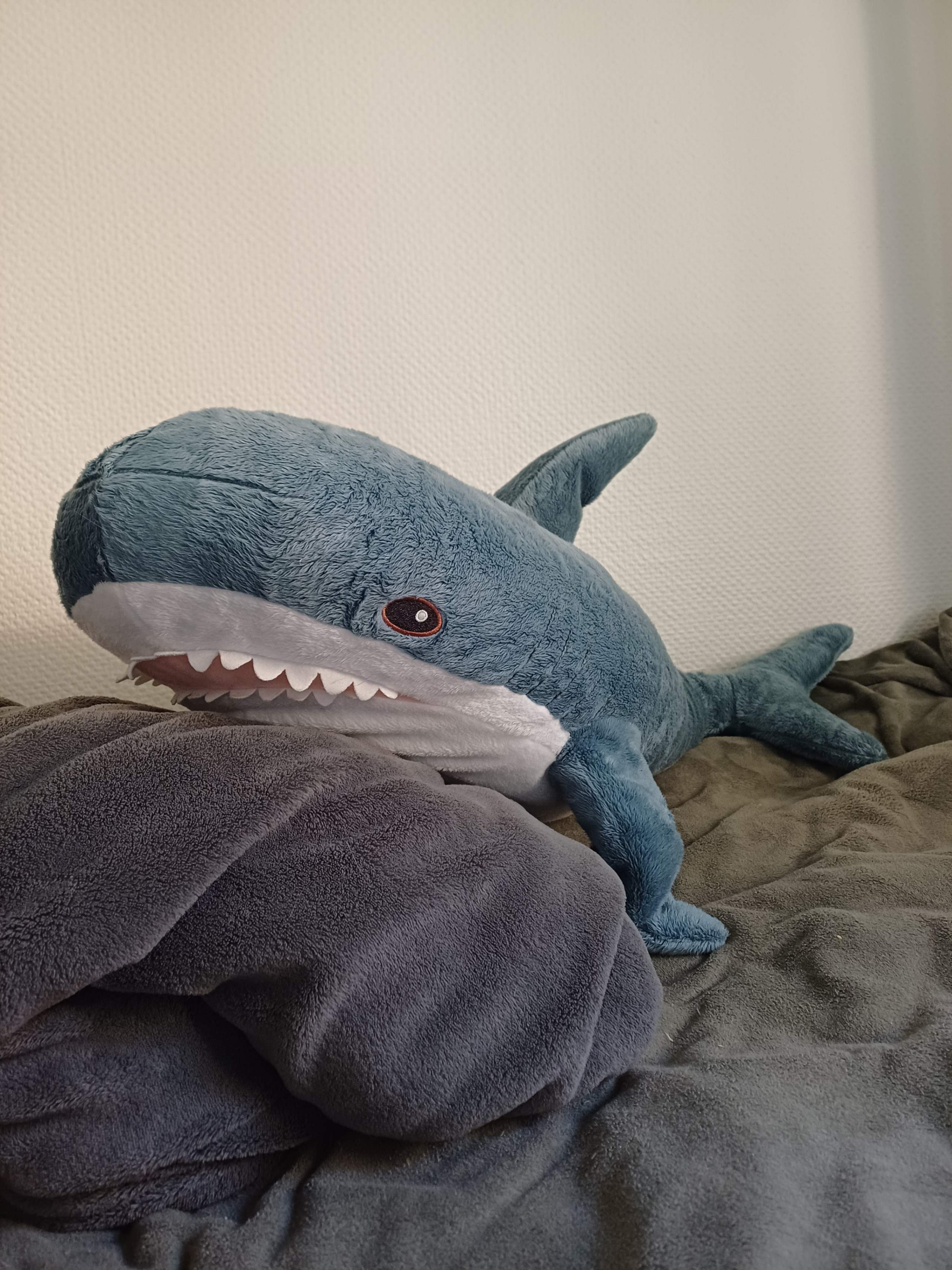 Seller photo