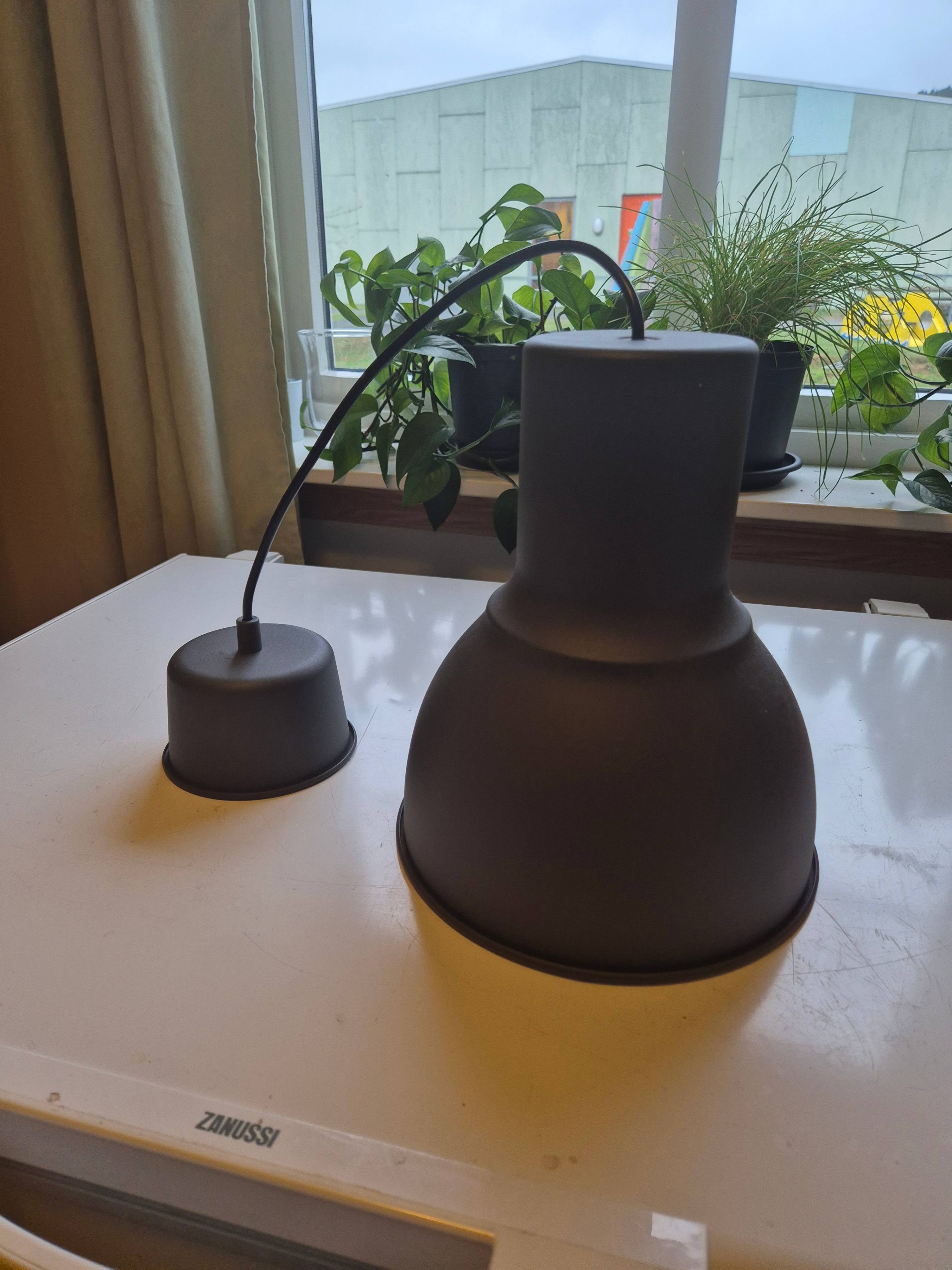 Seller photo