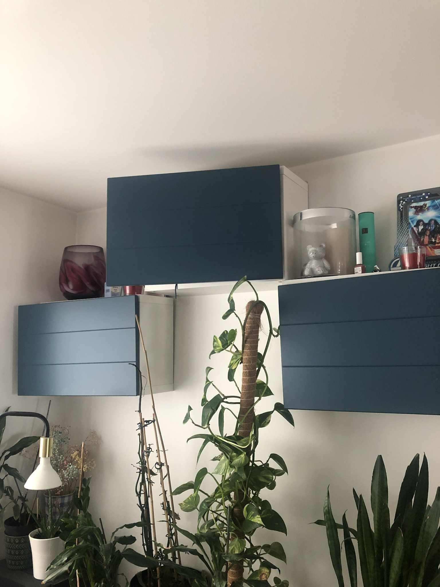 Seller photo