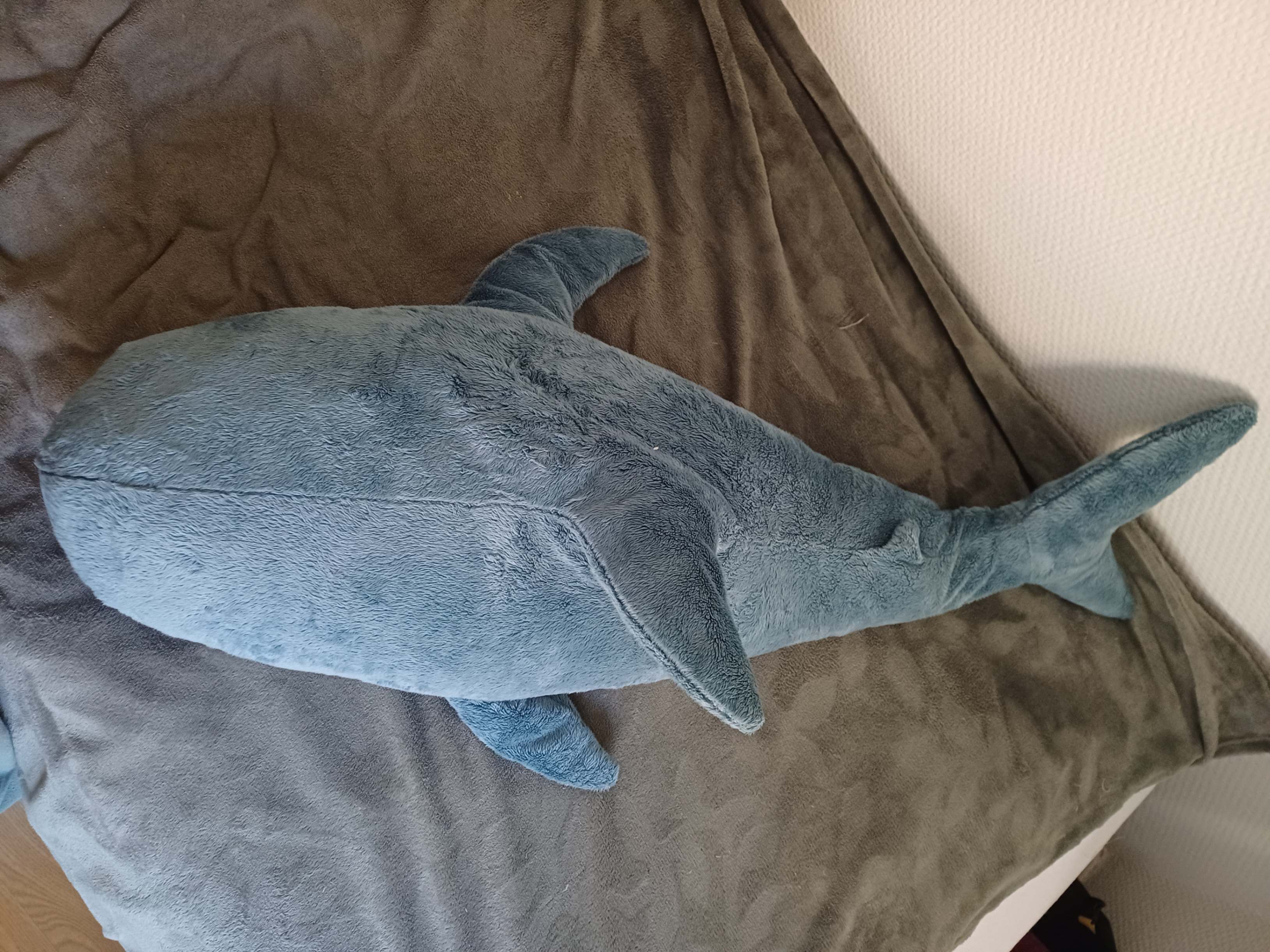 Seller photo