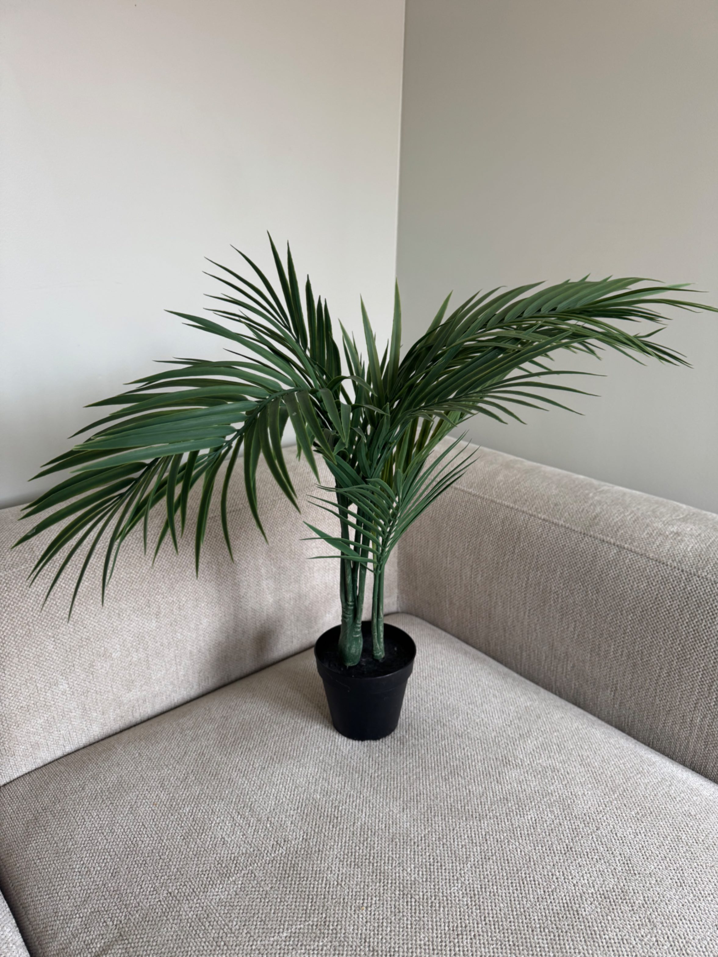 Seller photo