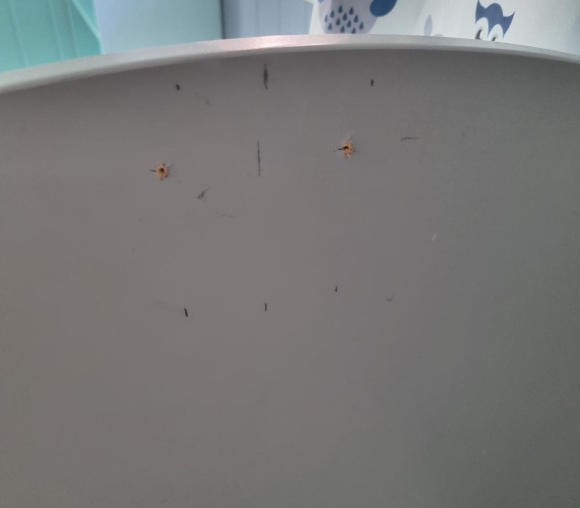 Seller photo