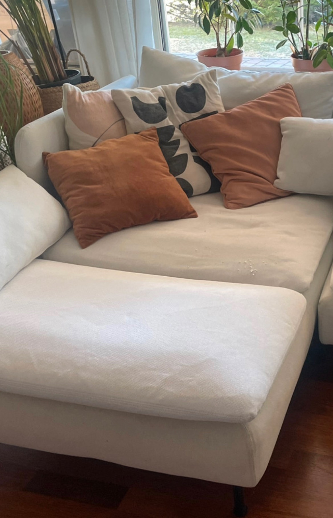 Seller photo
