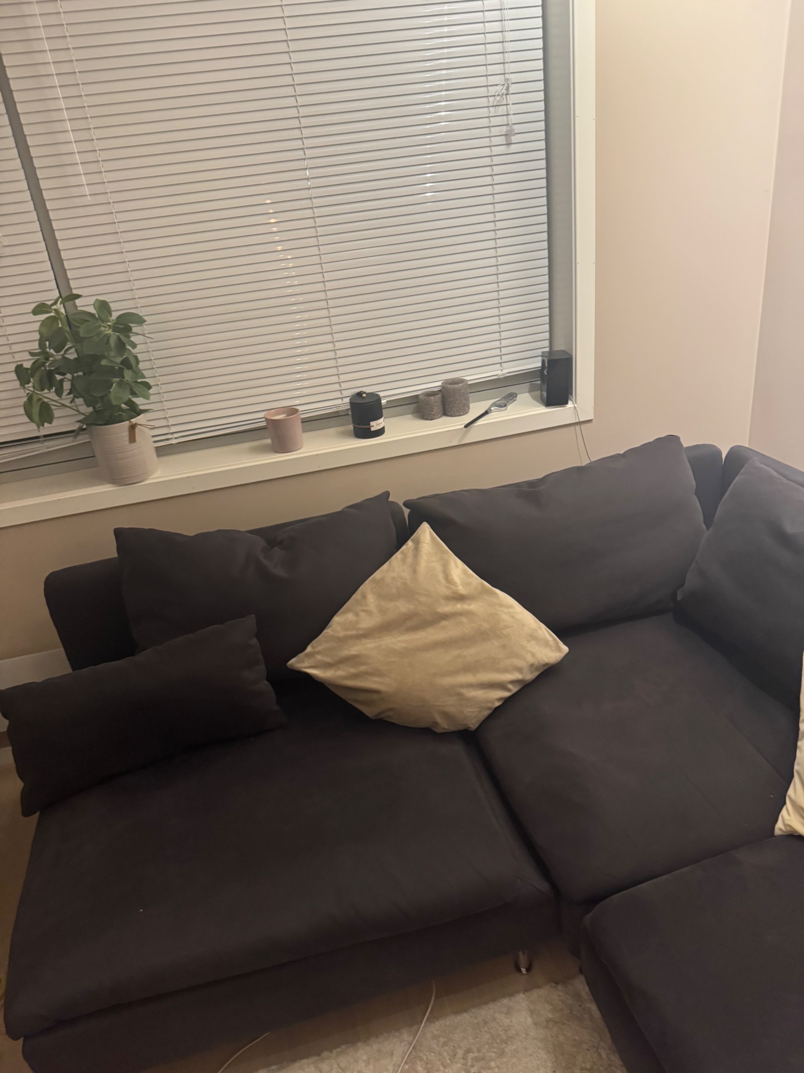 Seller photo