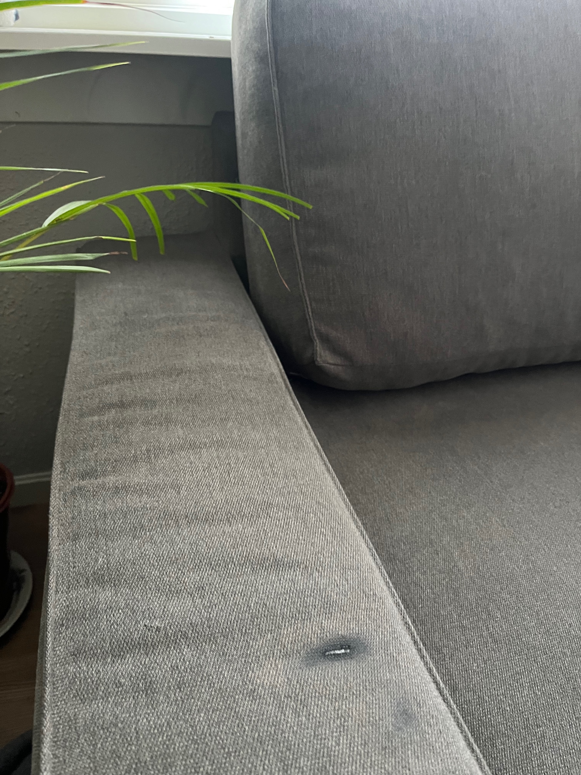 Seller photo