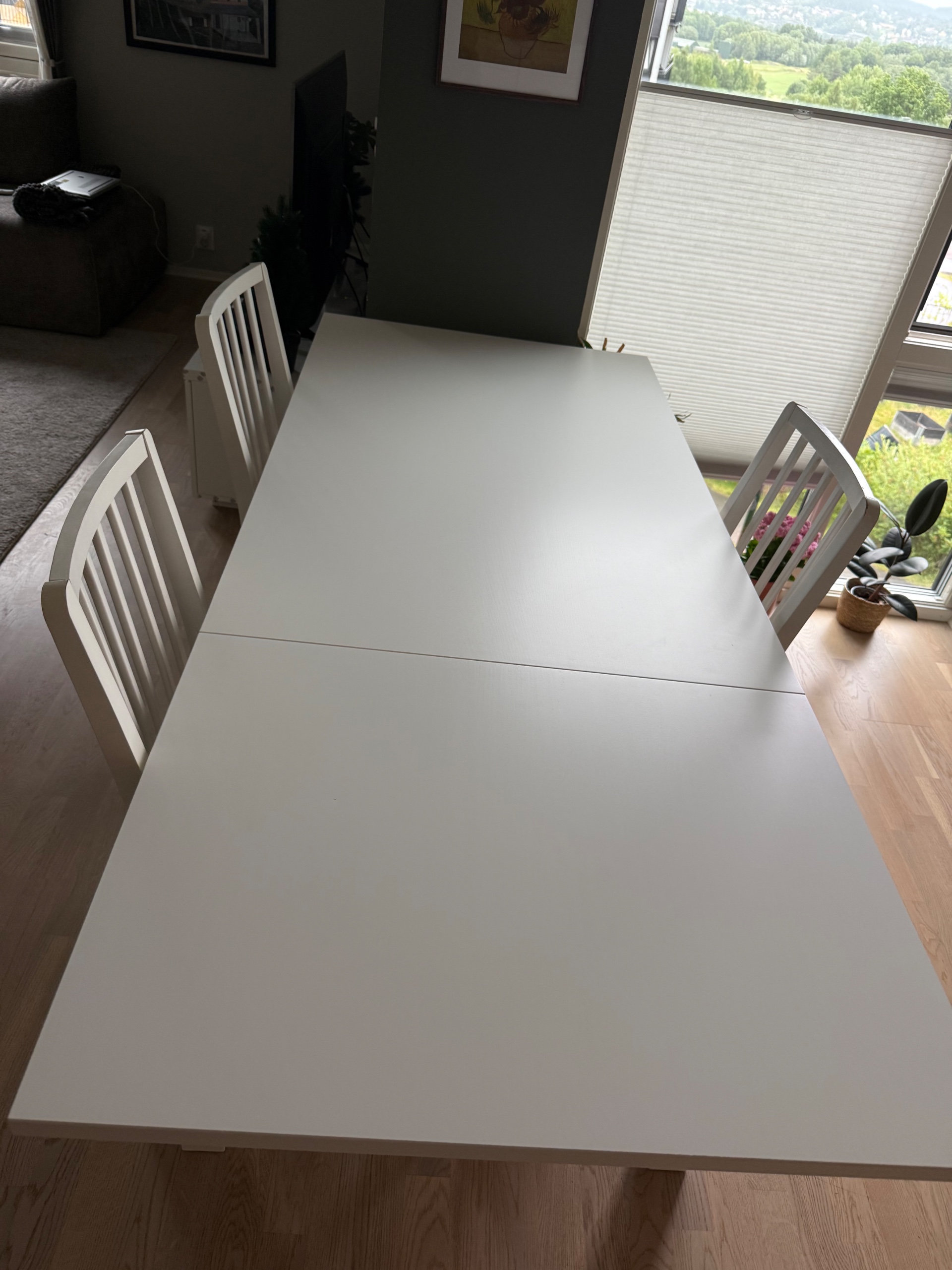 Seller photo