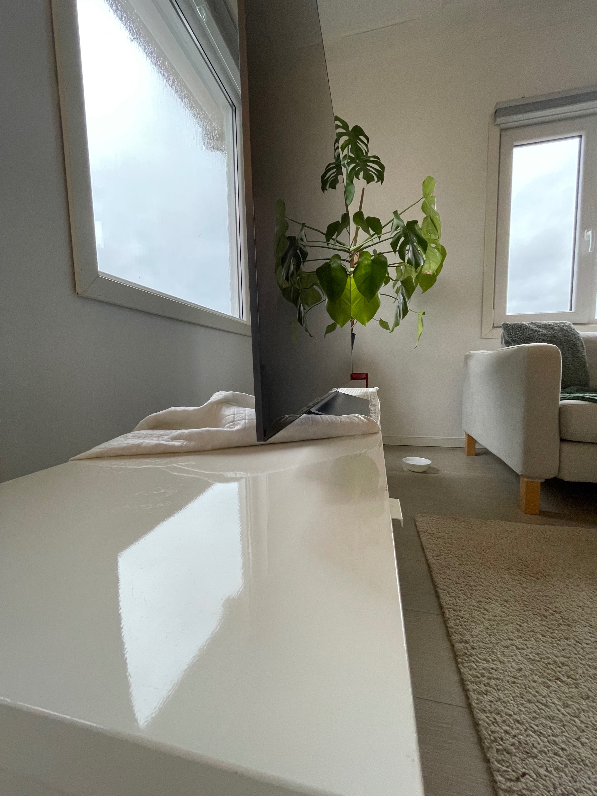 Seller photo