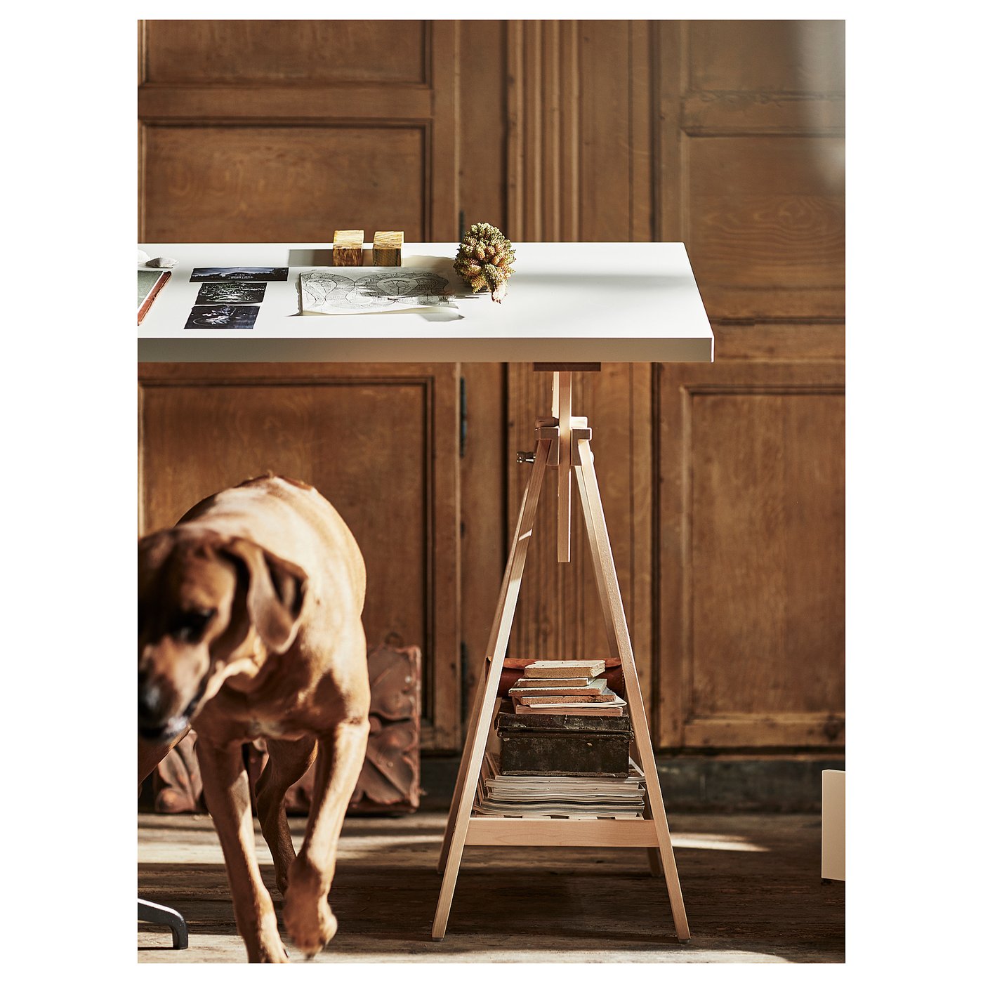 IKEA catalogue photo